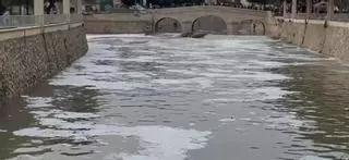 A la CHS no "le consta" que el vertido de contaminantes causara la espuma que cubrió 25 kilómetros del Segura tras las lluvias
