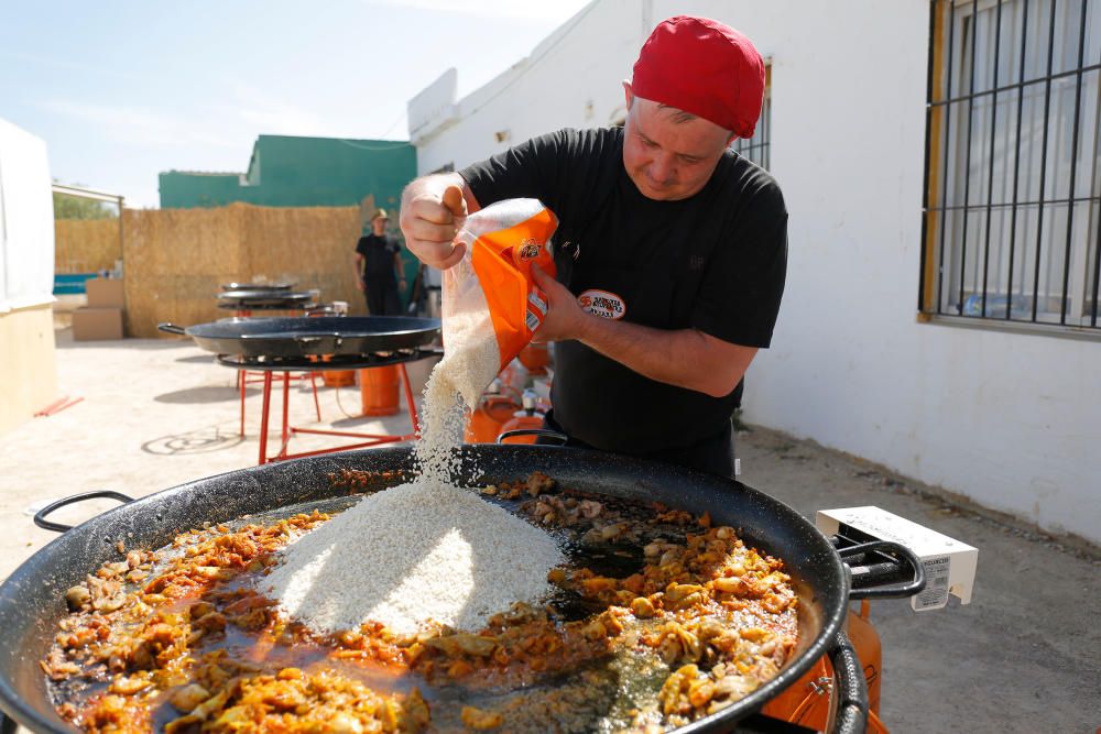 Siega y 'perxa' en l´Albufera