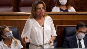 Ribera es reunirà amb les elèctriques per trobar solucions a l’alça de la llum