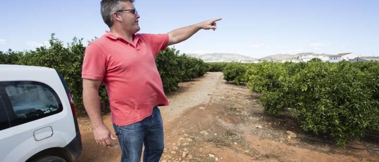 El presidente vecinal de Benadresa muestra la zona donde se prevé la MAT.