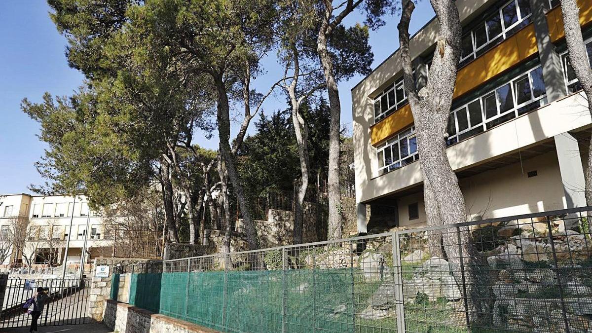 L&#039;Ajuntament ha decidit que s&#039;han de talar els arbres perquè poden caure a dins l&#039;escola.