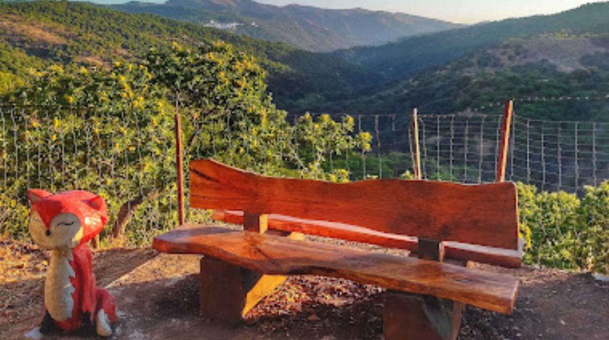 Imagen de una de las zonas del Bosque Encantado