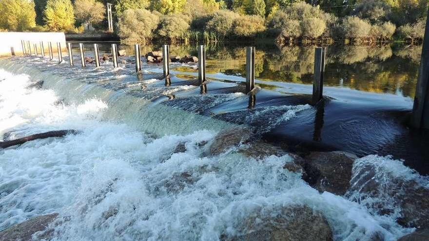 Aspecto que presentaba ayer el azud portátil sobre el río Tera en Camarzana, una vez retirados los tableros