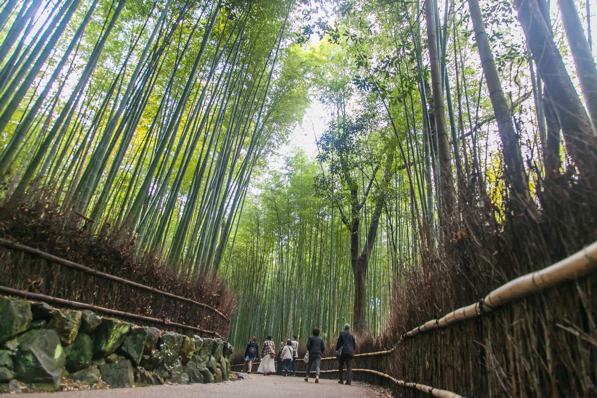 Bosque de Arashiyama.