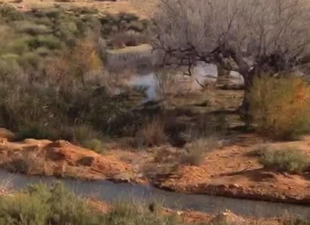 Vertivega plantea un cultivo bacteriológico contra los lixiviados