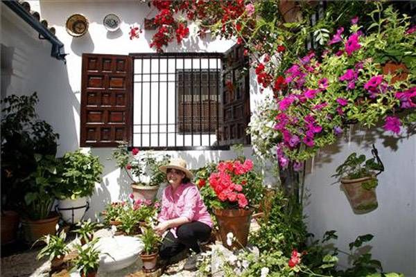 Los Patios y su esplendor, Patrimonio de la Humanidad