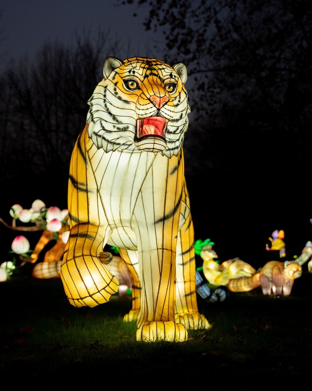 Festival de Luces Salvajes en Portugal