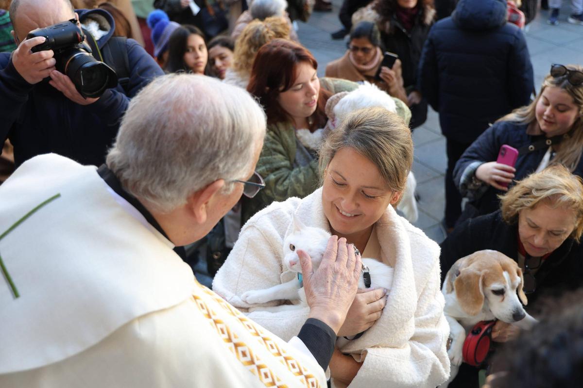 Fotogalería | Así se ha vivido la bendición de las mascotas cacereñas por San Antón