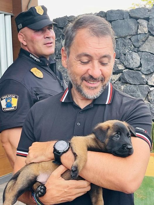 Los nuevos cachorros policía de Santa Cruz