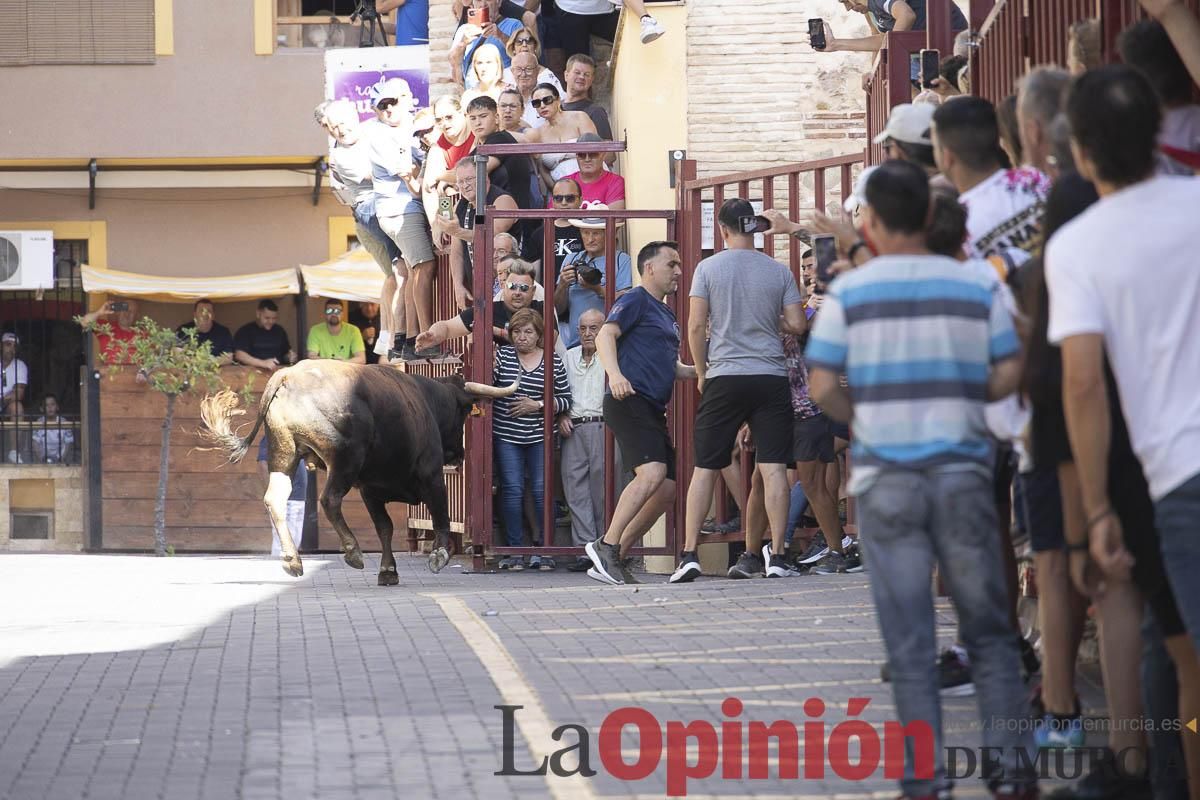 Tercer encierro de las Fiestas de Moratalla