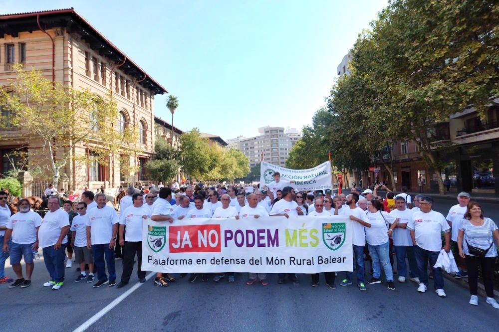 Miles de personas se manifiestan en Palma en defensa del mundo rural y la caza
