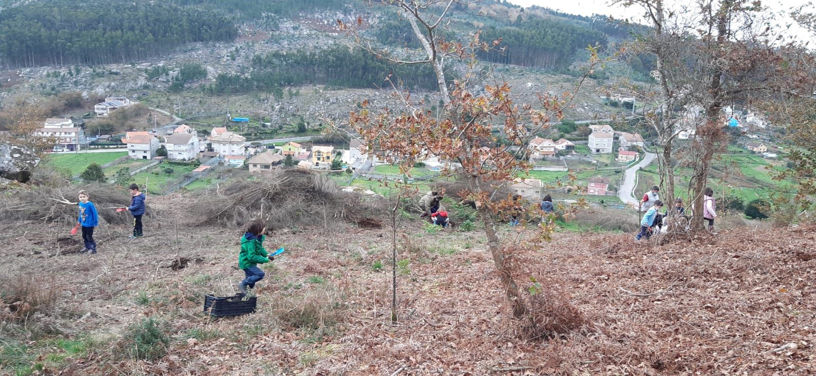 Plantación colegio de O Hío