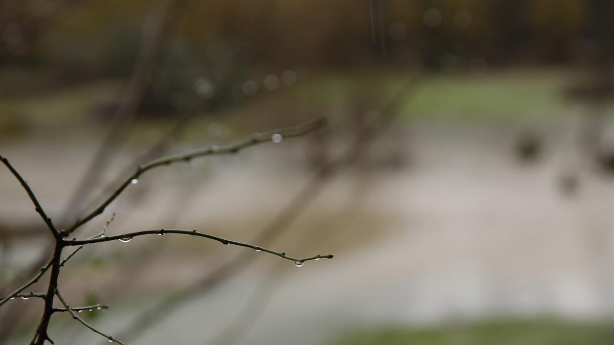 Inundaciones en Asturias: Todas las imágenes de una complicada jornada de lluvias