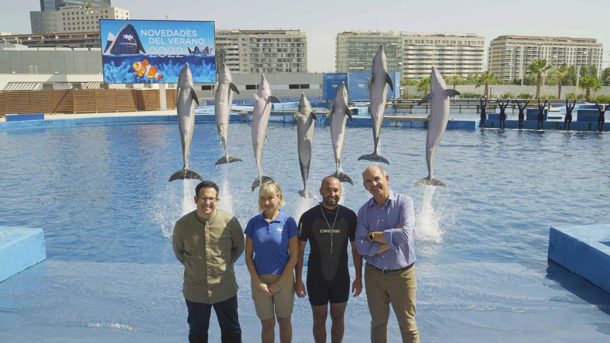 Nueva exhibición de delfines en el Oceanogràfic de València.