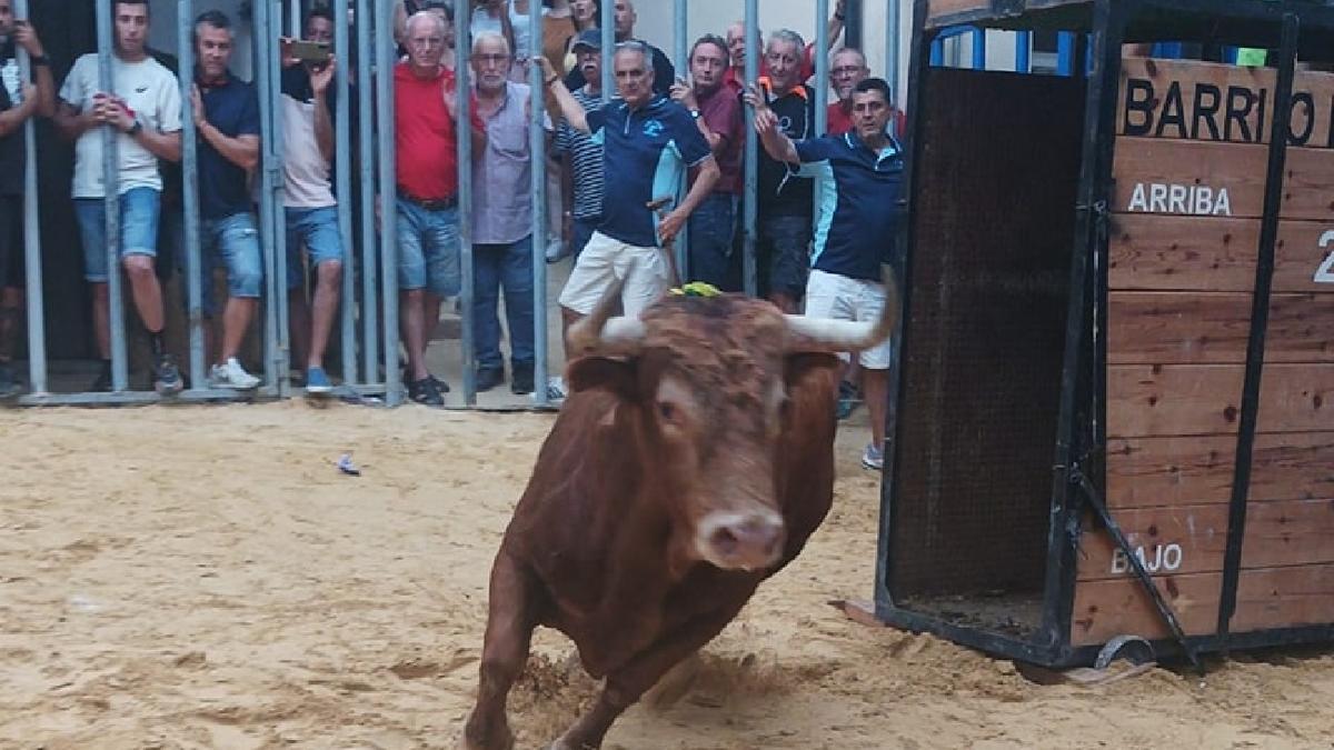 Foto de un festejo taurino de las fiestas de agosto del año pasado de Almedíjar.