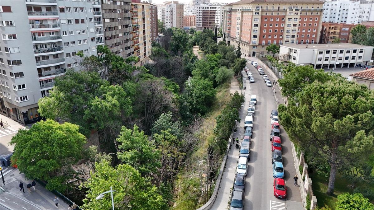 Imagen aérea de las riberas del Huerva, rodeadas de ailantos que serán talados a partir de la próxima semana.