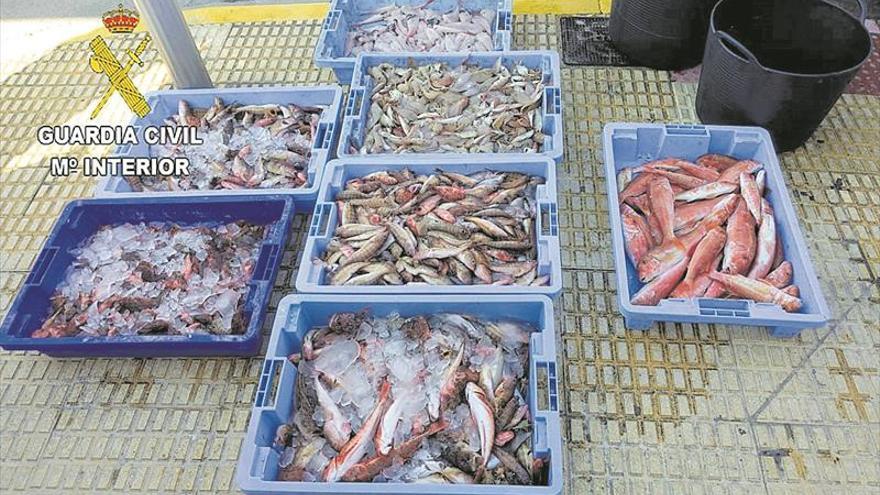 65 kilos de pescado ilegal en un restaurante del Grao