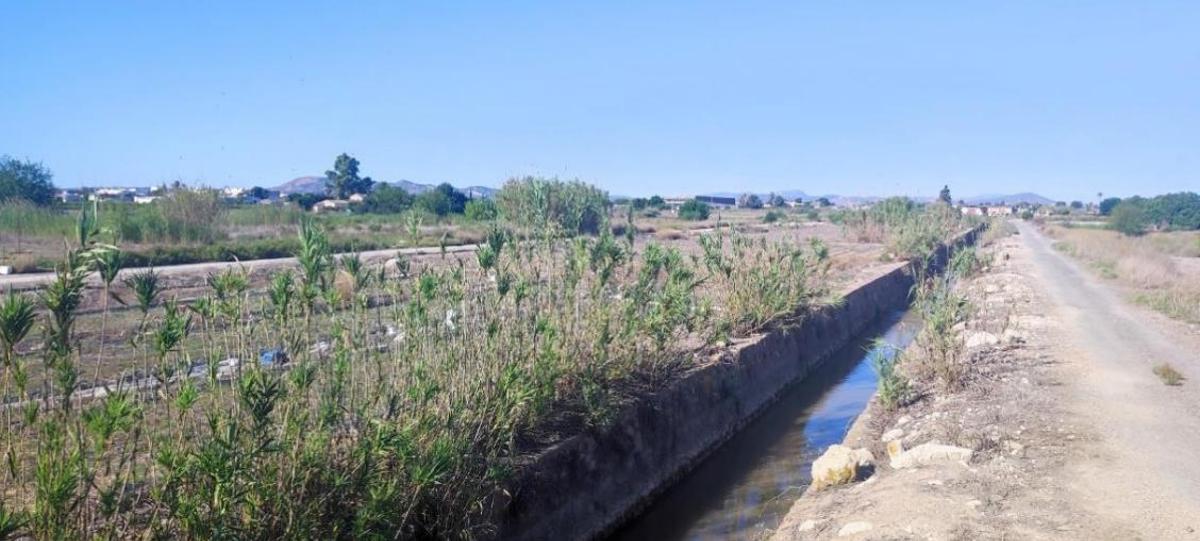 Uno de los numerosos azarbes de riego que atraviesa el sector y que en episodios de inundación cumplen la función prioritaria de evacuar el agua, en muchas ocasiones por desbordamiento