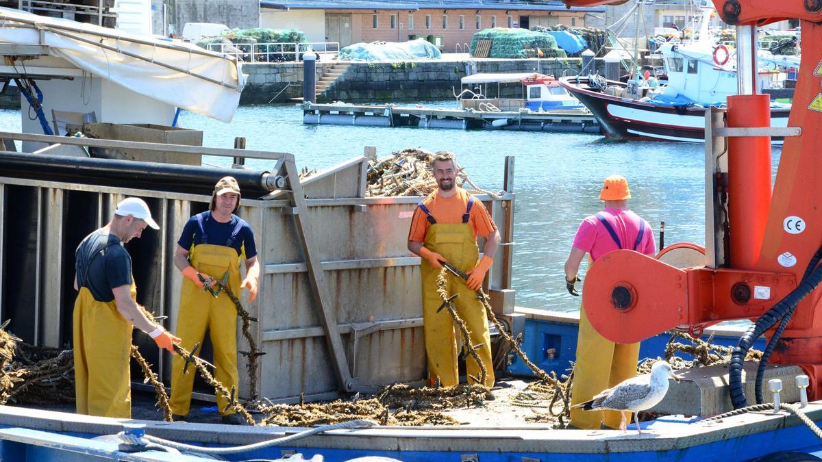 Bateeiros de Bueu trabajando ayer en el muelle de mejilloneros de la localidad.