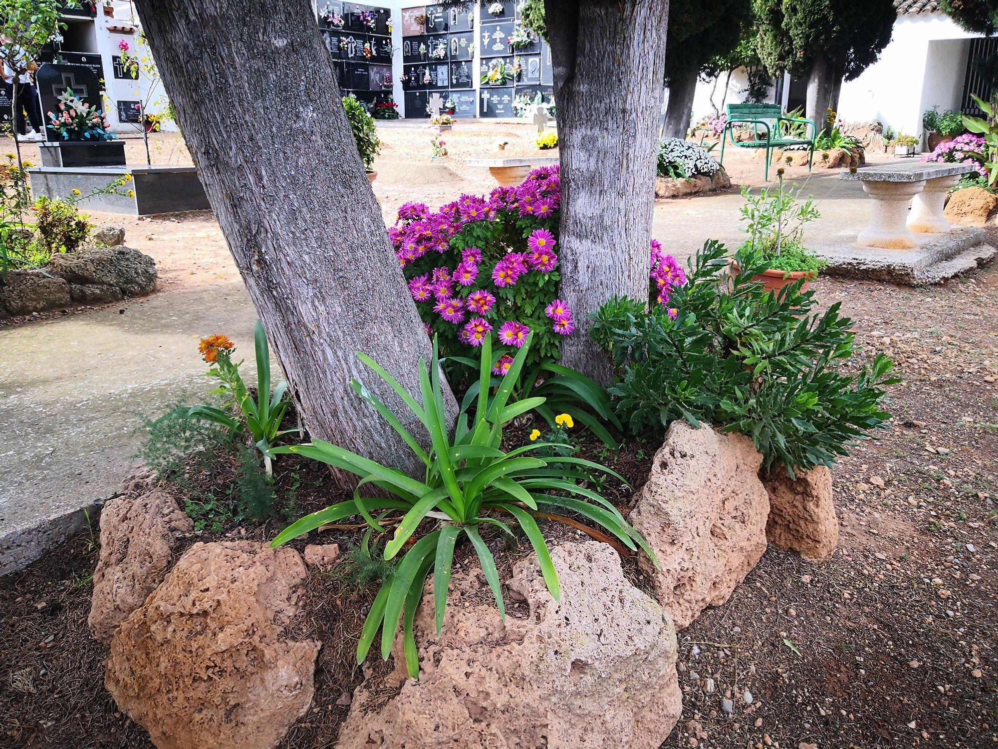 'Navajas ponte guapa' llena el municipio de flores