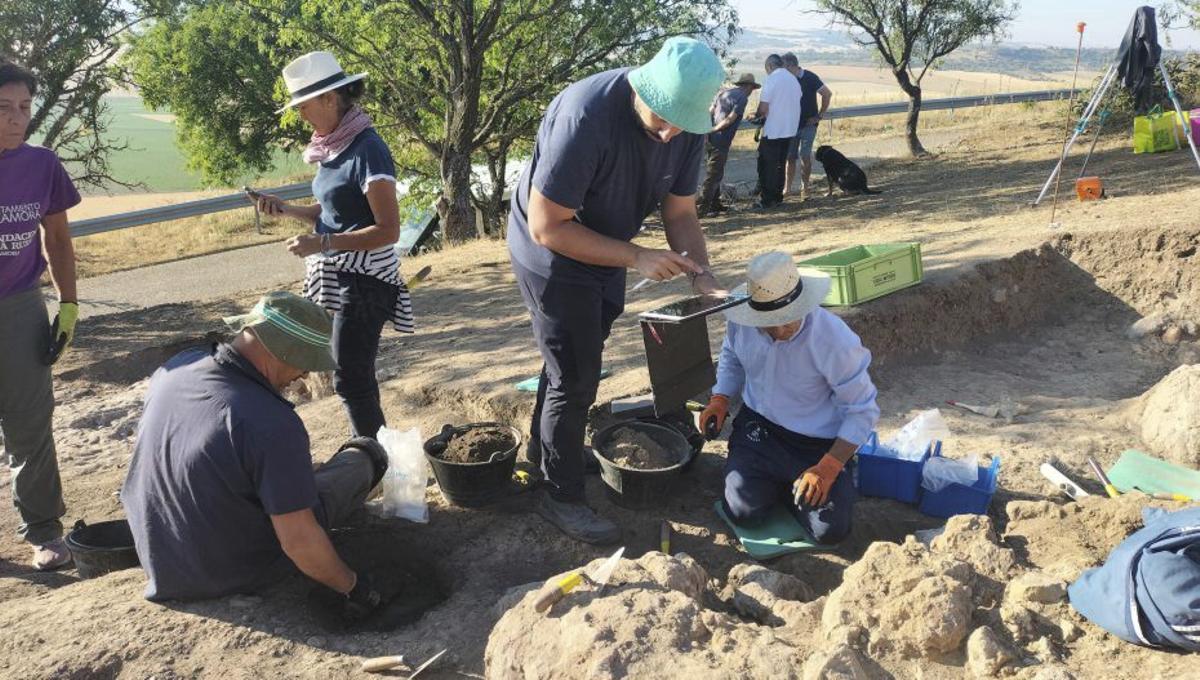 Excavación este verano en el Viso de Bamba. | CEDIDA