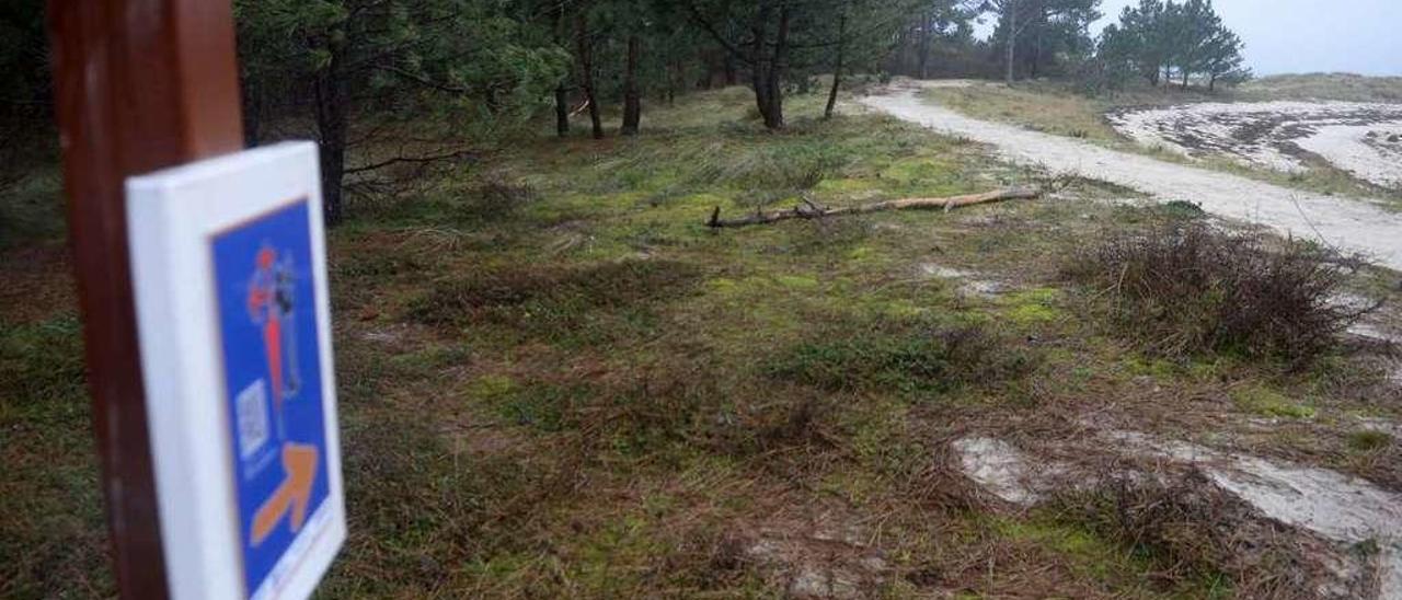 Una señal de la Ruta Padre Sarmiento a su paso por el parque de Carreirón, en A Illa. // Noé Parga