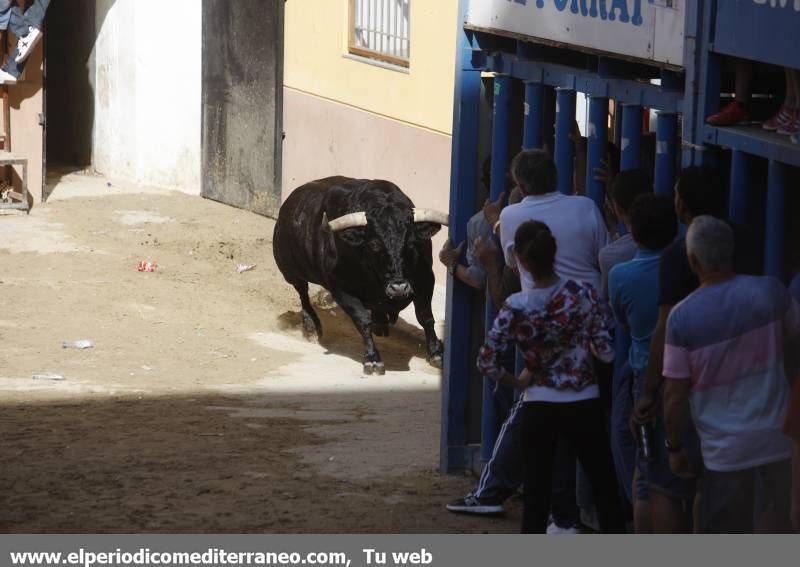 GALERÍA DE FOTOS -- Festejos en honor a Santa Quitèria