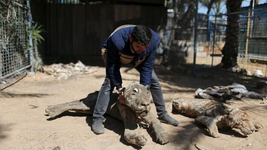 El peor zoo del mundo