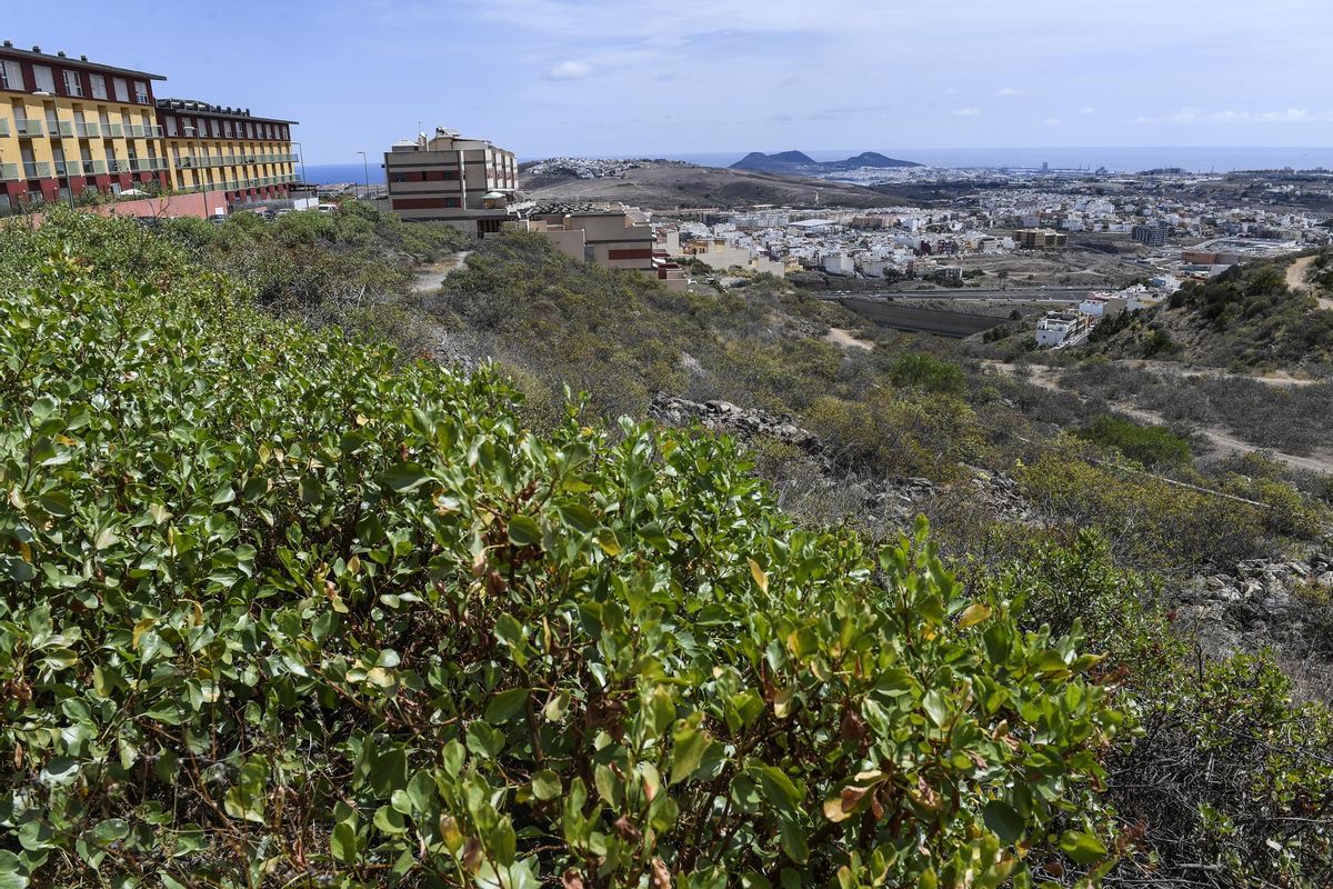 Zona de Ciudad del Campo donde proponen un skatepark.
