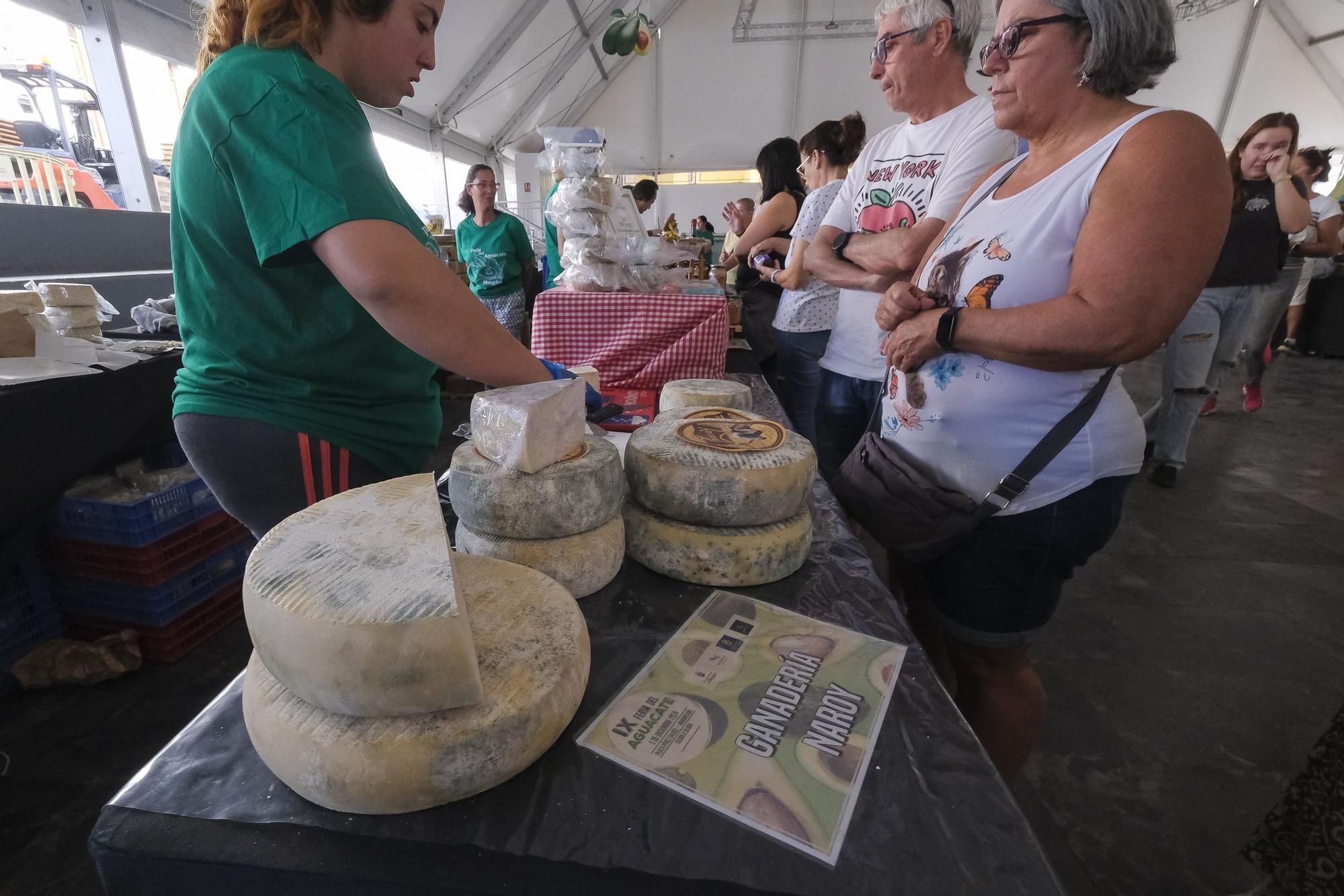 04-11-2024 MOGÁN. IX Feria del Aguacate de Mogán, en Arguineguín  | 01/12/2024 | Fotógrafo: Andrés Cruz