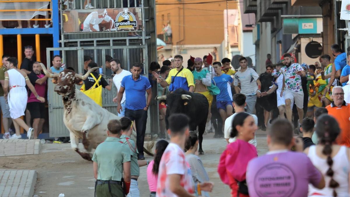 El que ha vuelto a nacer en el encierro de toros de la Vall d’Uixó