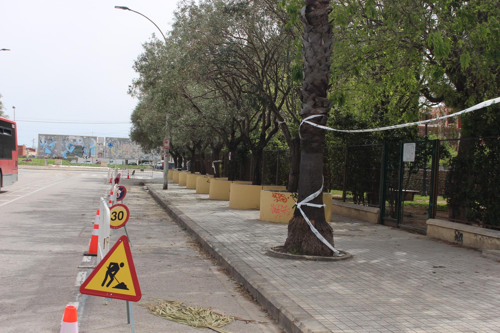 Los desbordados olivos de Castellar-Oliveral