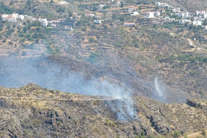 11-08-2019 Artenara. Segundo día del incendio en la cumbre  | 11/08/2019 | Fotógrafo: Andrés Cruz