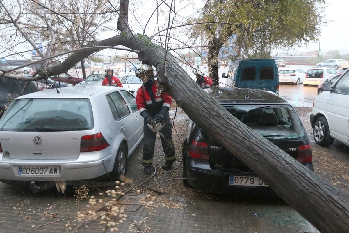 La borrasca 'Ana' deja su huella en Córdoba