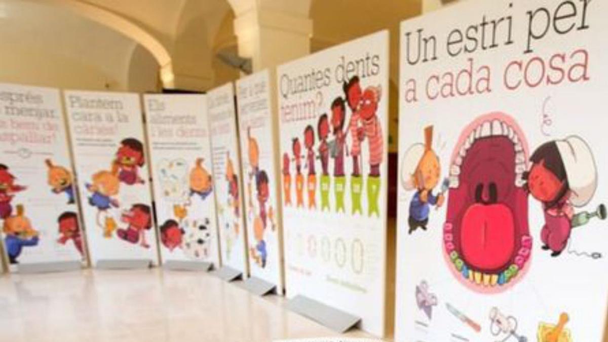 L’exposició «Cuida’t les dents» s’instal·la al Casal de les Escodines | DDB