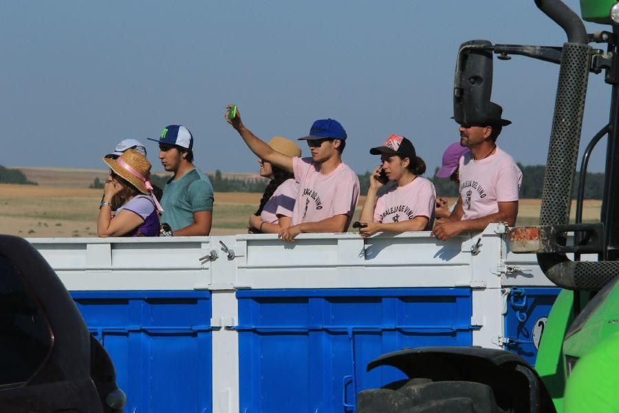 Fiestas en Moraleja del Vino: Encierro