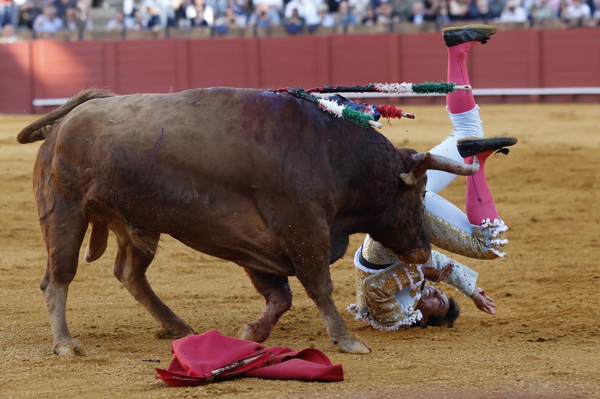 SEVILLA, 09/04/2024.- El torero mexicano Leo Valadez recibe un revolcón de un toro, de la ganadería de Santiago Domecq, durante su faena este martes en la plaza de toros de la Maestranza en Sevilla. EFE/Julio Muñoz