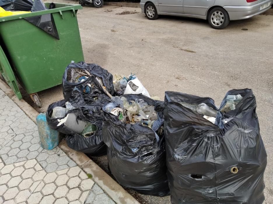 Voluntarios se lanza a las playas de Dénia a retirar la basura escupida por Gloria