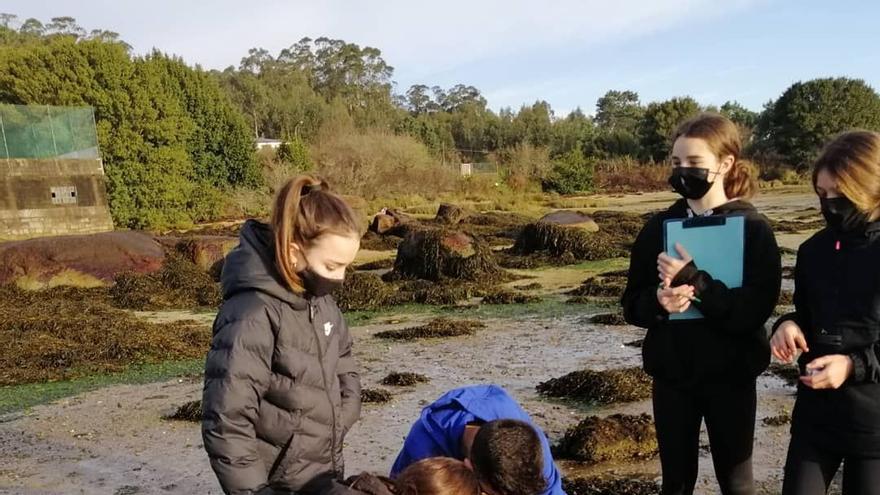 El IES As Bizocas aprende de las praderas marinas