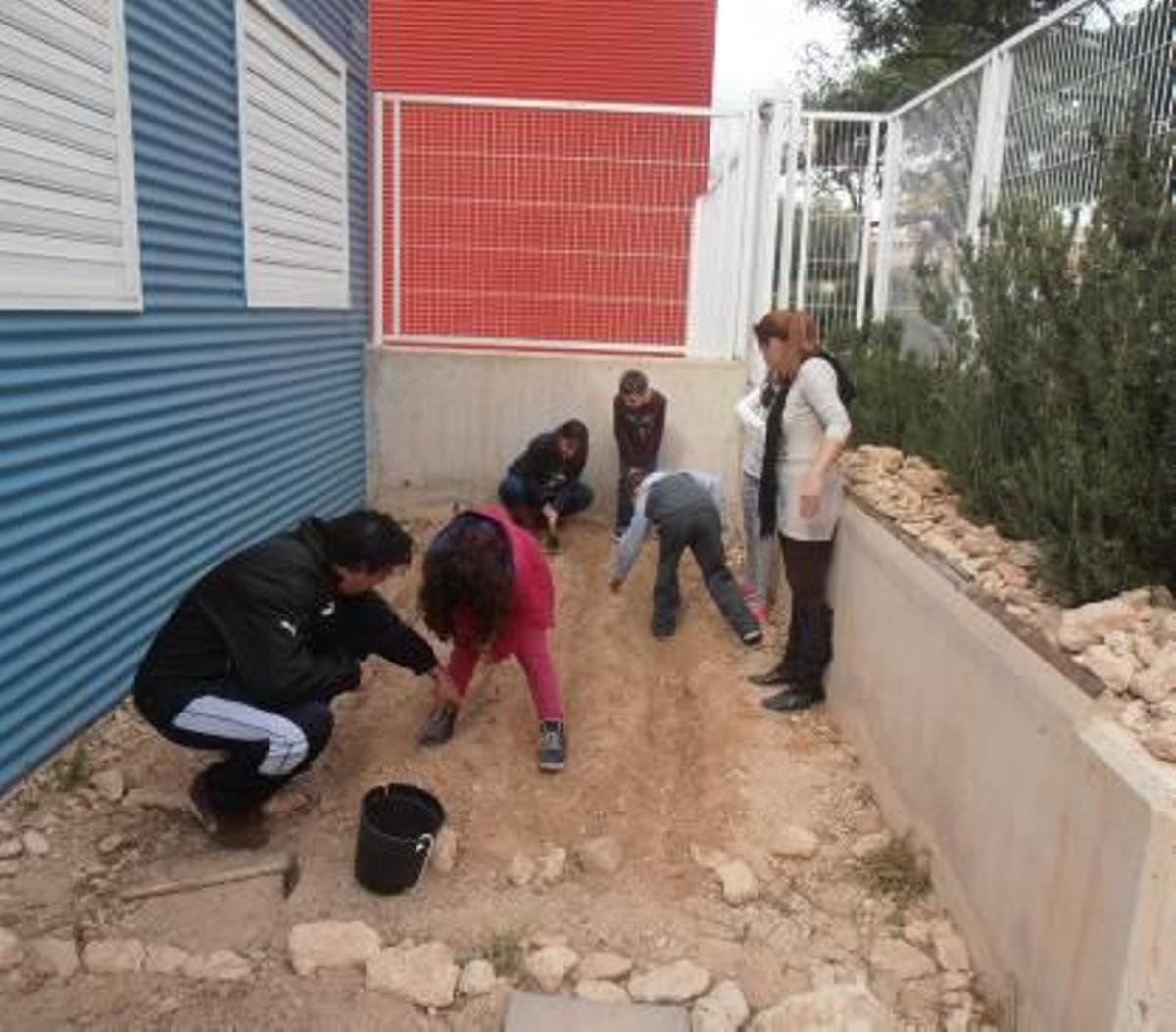 La agricultura ecológica y urbana desde las aulas en San Vicente