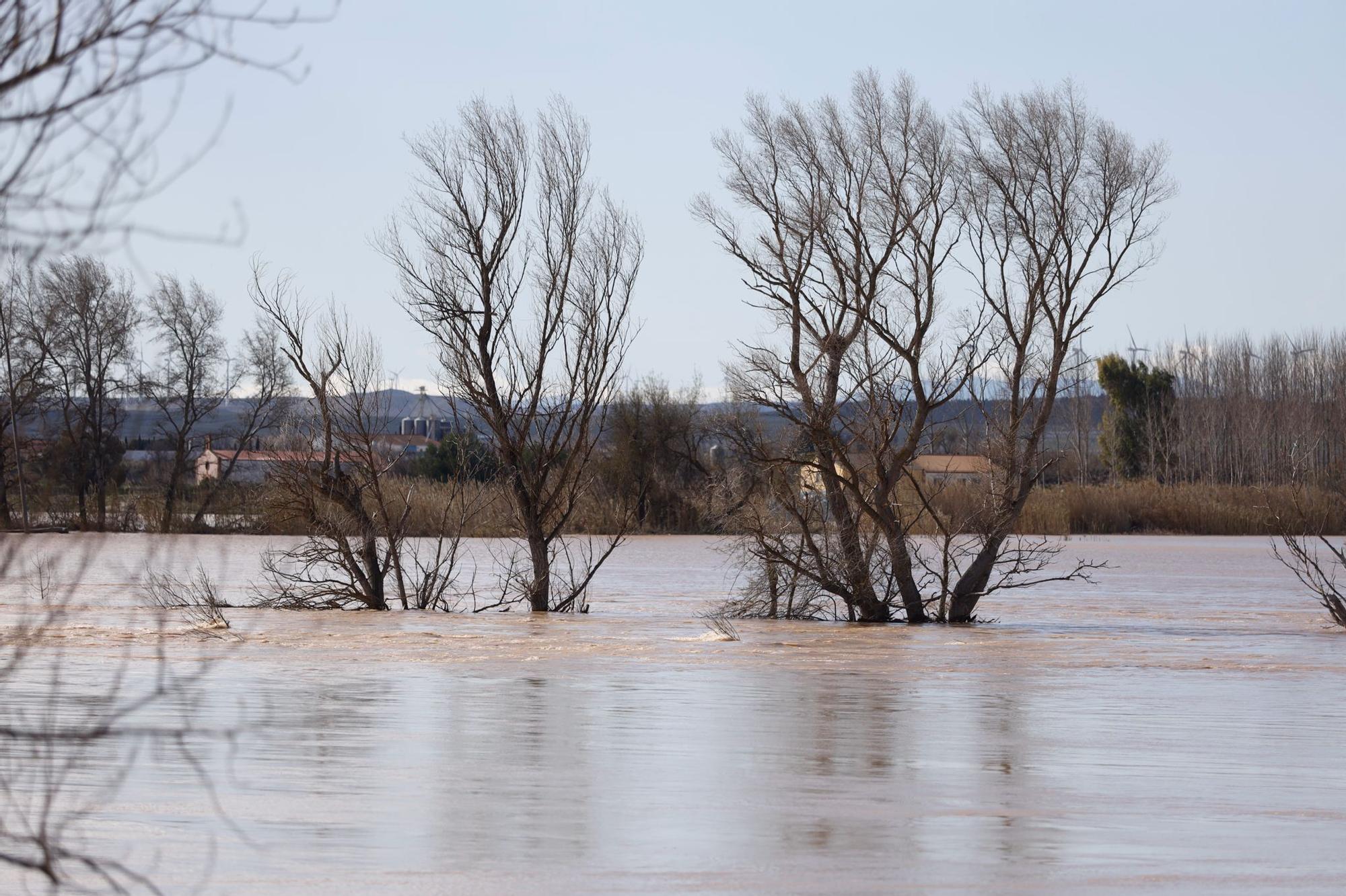 En imágenes | Así transcurre la crecida del Ebro a su paso por Aragón
