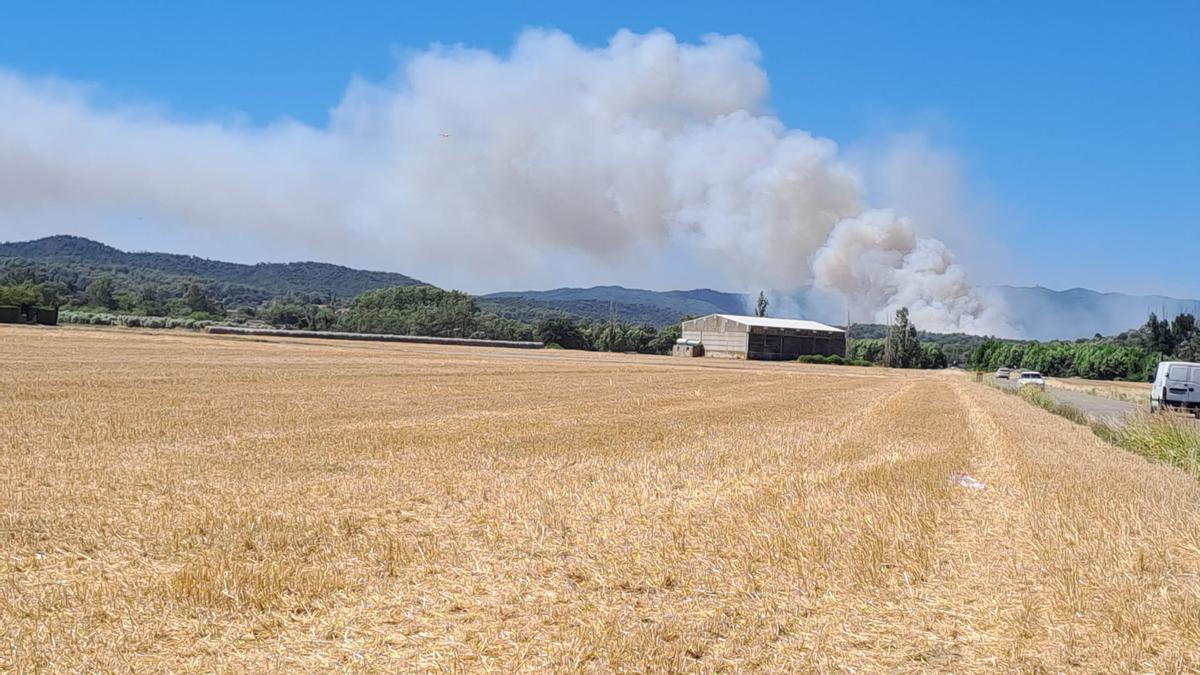 Crema sense control un incendi forestal a peu de les Gavarres a la Bisbal Crema sense control un incendi forestal a peu de les Gavarres a la Bisbal