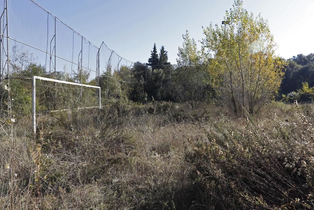 L'estat del camp del Puig d'en Roca.