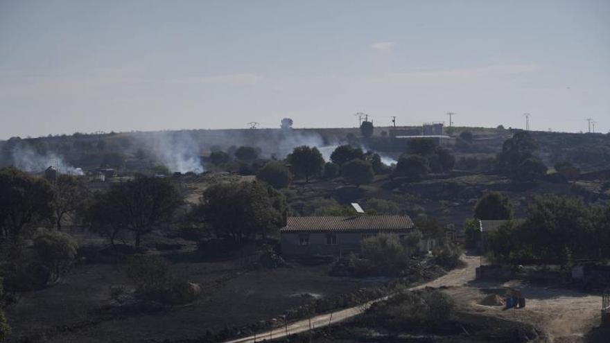El incendio forestal de Fermoselle y la "falta de prevención", a debate en las Cortes de Castilla y León