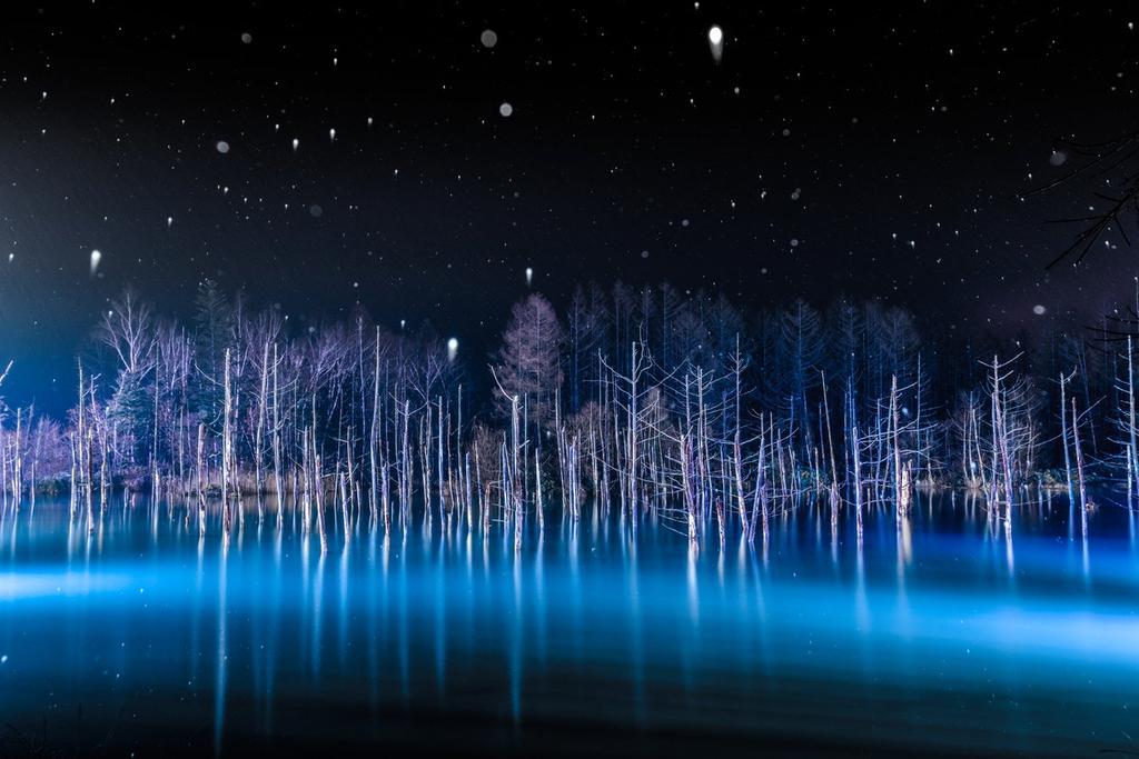 El estanque de noche.