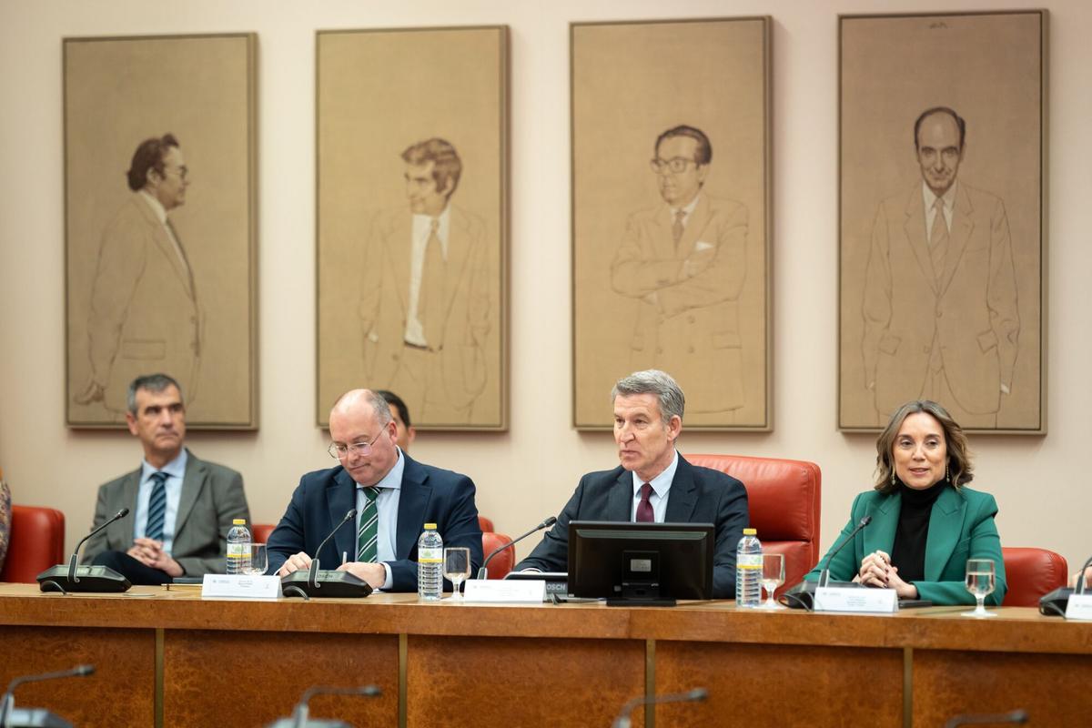 Els populars rebutgen el decret antiaranzels Els populars rebutgen el decret antiaranzels