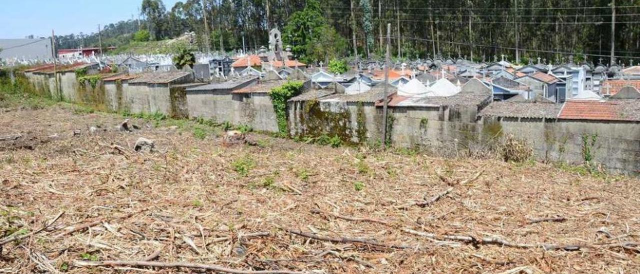 Parte de los terrenos situados al sur del cementerio, recientemente limpiados por sus dueños. // G.Núñez