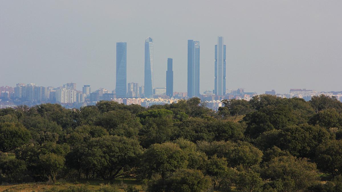 Una vista del Monte de El Pardo con la ciudad de Madrid al fondo.