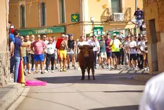 GALERÍA | Emoción y riesgo en el encierro de La Bóveda de Toro