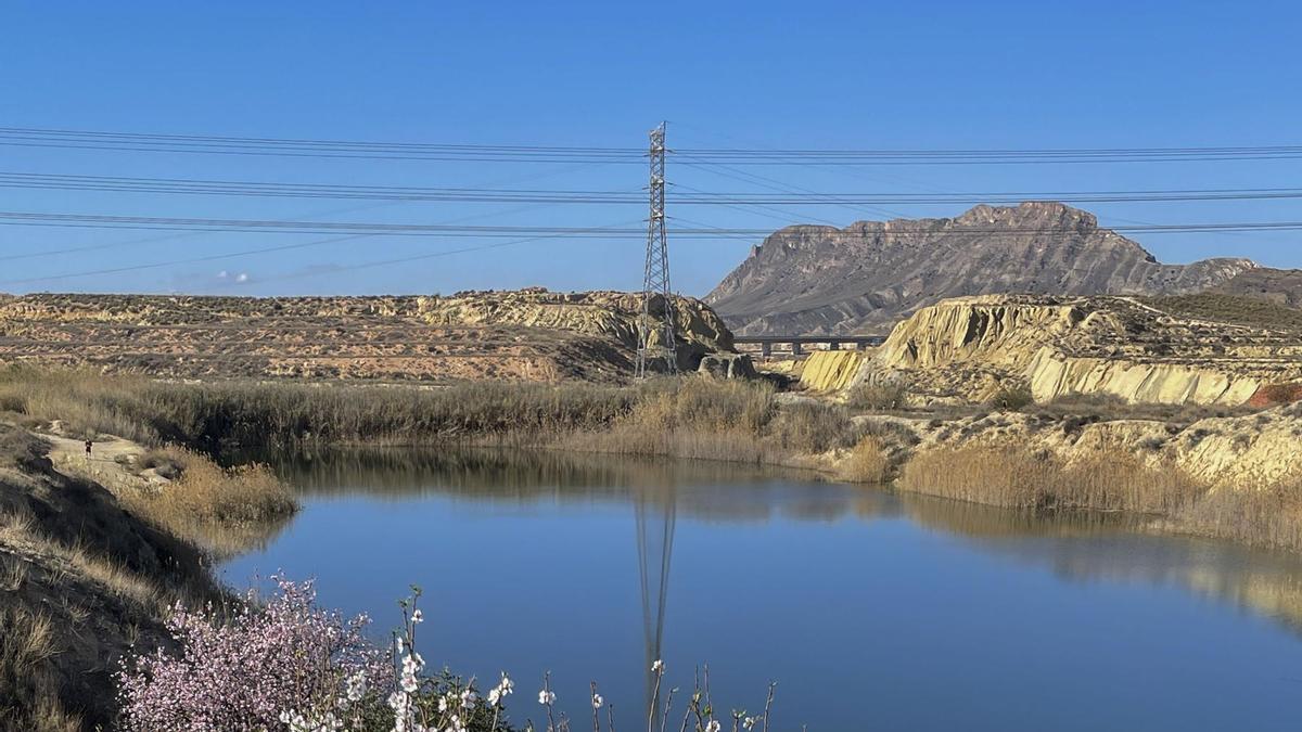 El cierre perimetral del municipio de Alicante los fines de semana multiplica las excursiones familiares a las lagunas de Rabasa